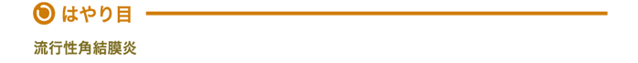 �͂��ځ@���s���p������