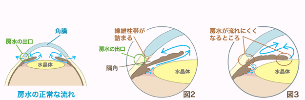 �}2,3